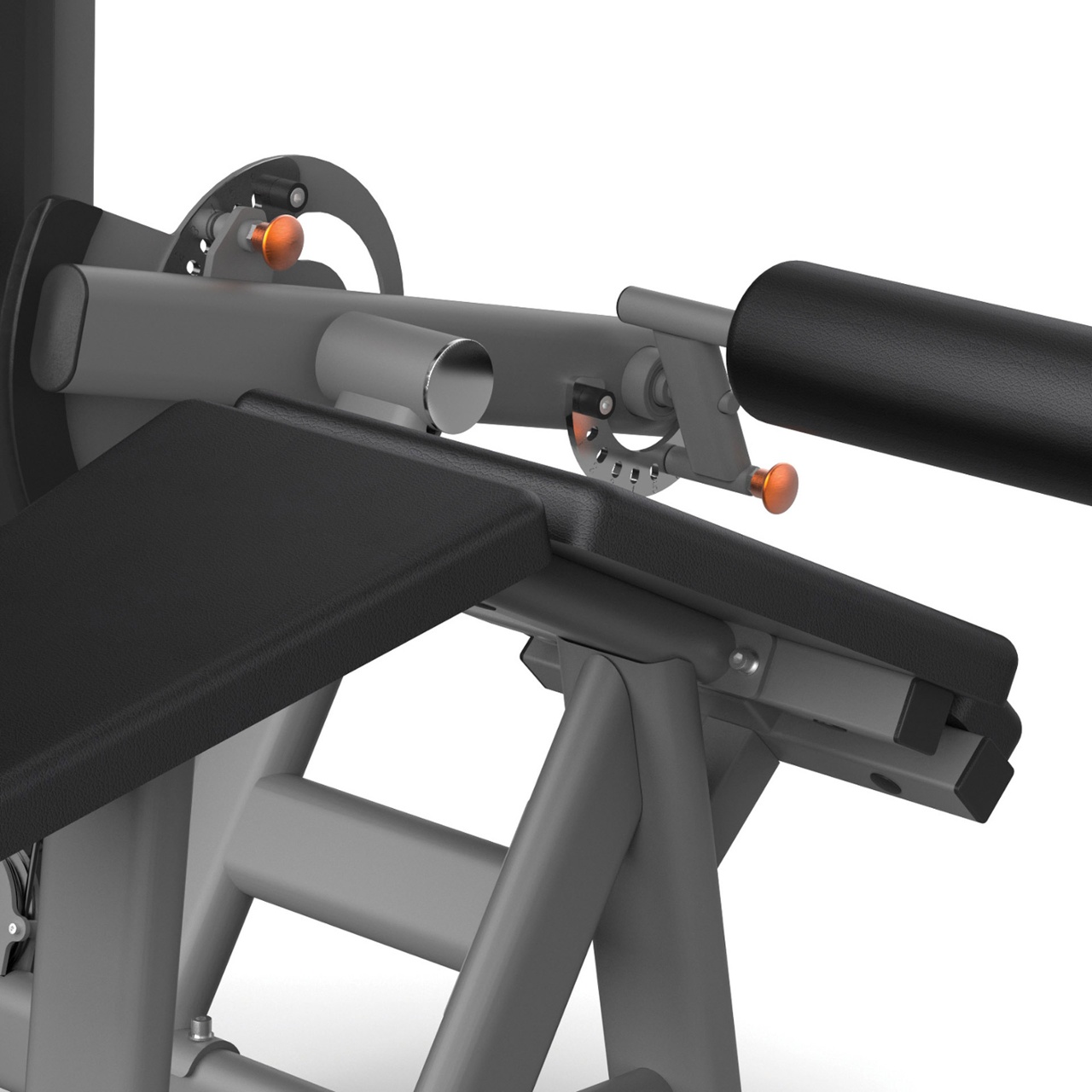 PLX-6800 PRONE LEG CURL - immagine 4