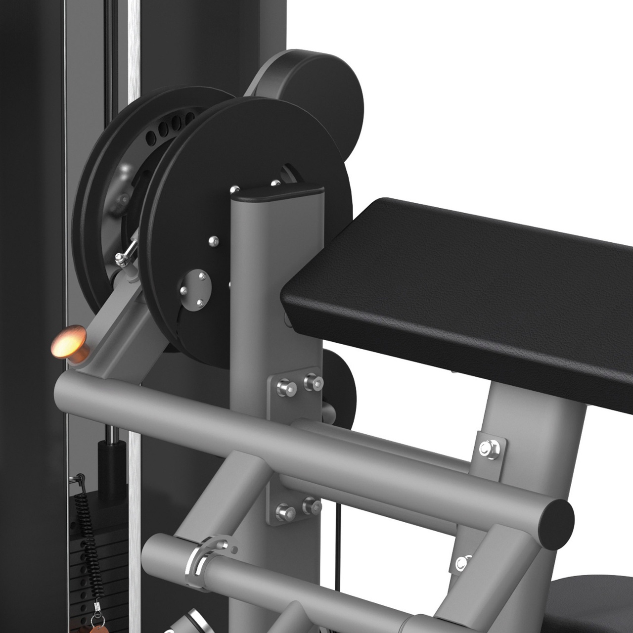 PLX-7700 BICEPS/TRICEPS CURL - immagine 3