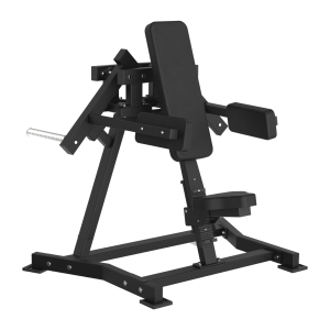FWX-6500 LATERAL RAISE