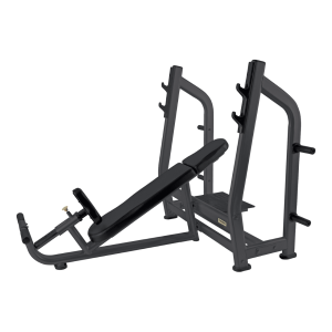 WBX-3800 Panca Regolabile Olympic